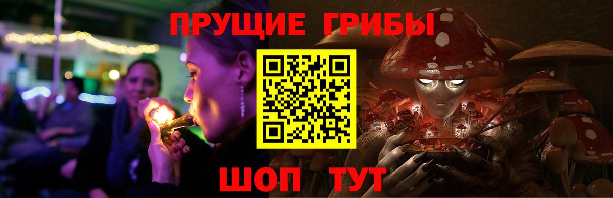 Дзержинск  Псилоцибиновые грибы прущие грибы  Вход с VPN 